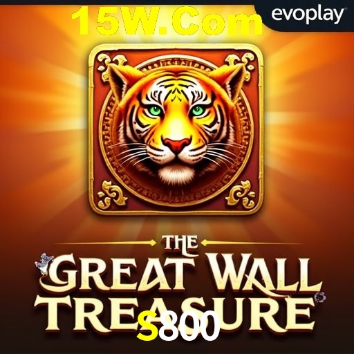 Security Systems S800